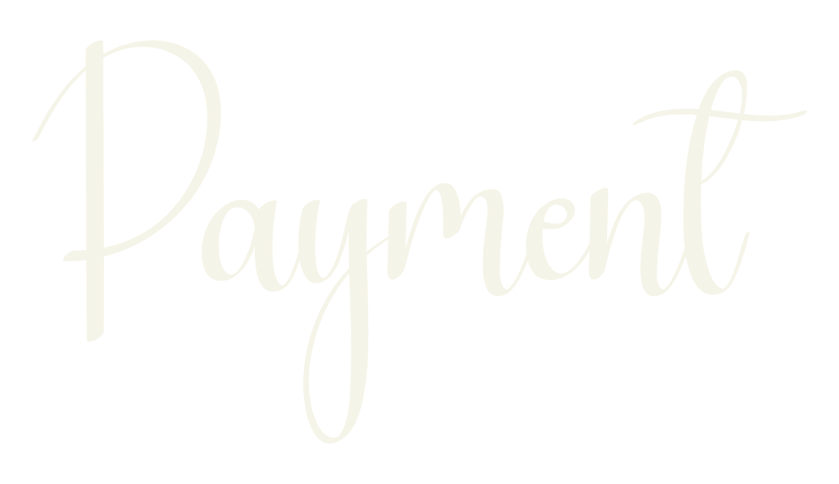 Payment, calligraphy font preview