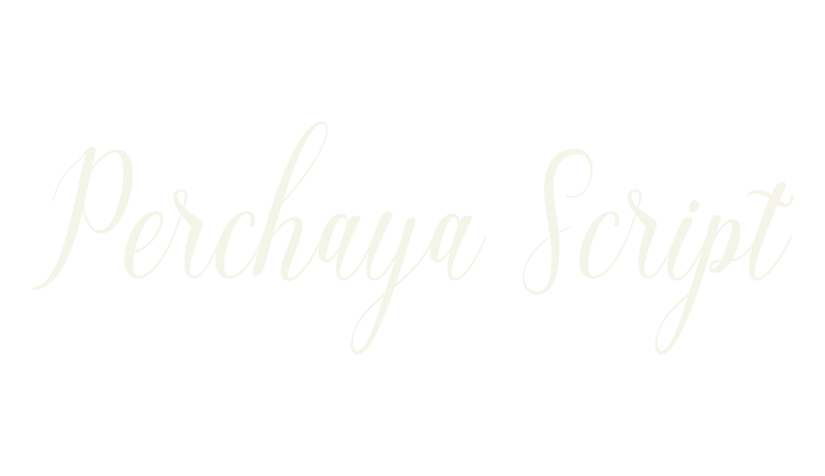 Perchaya Script, elegant font preview