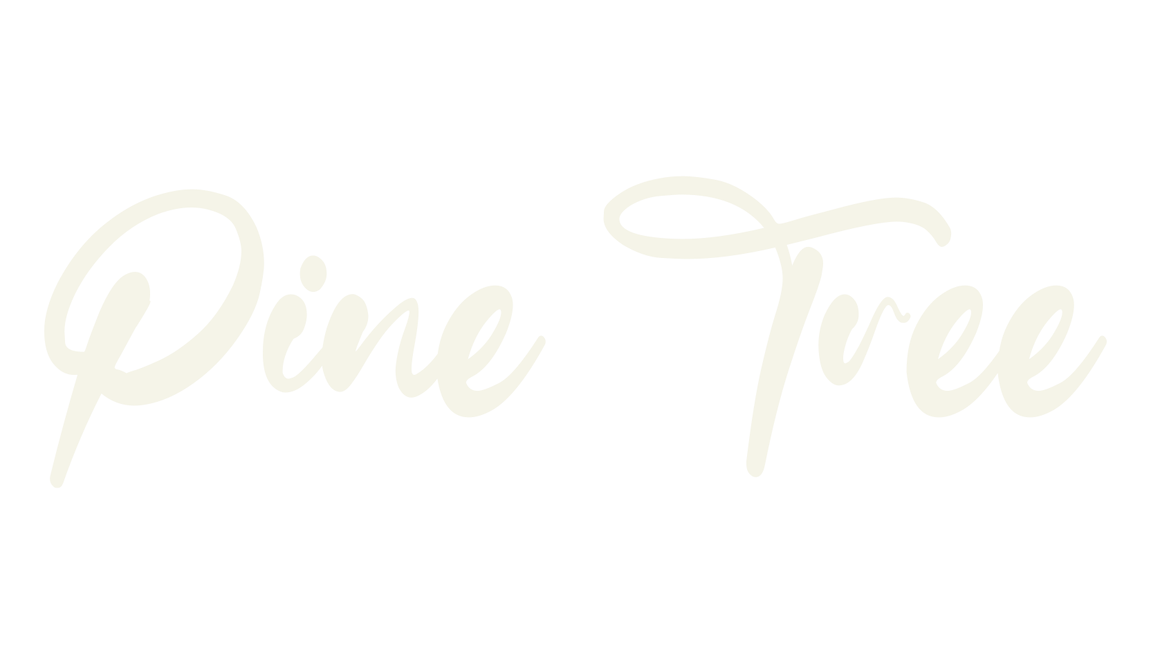 Pine Tree, fashion script font preview
