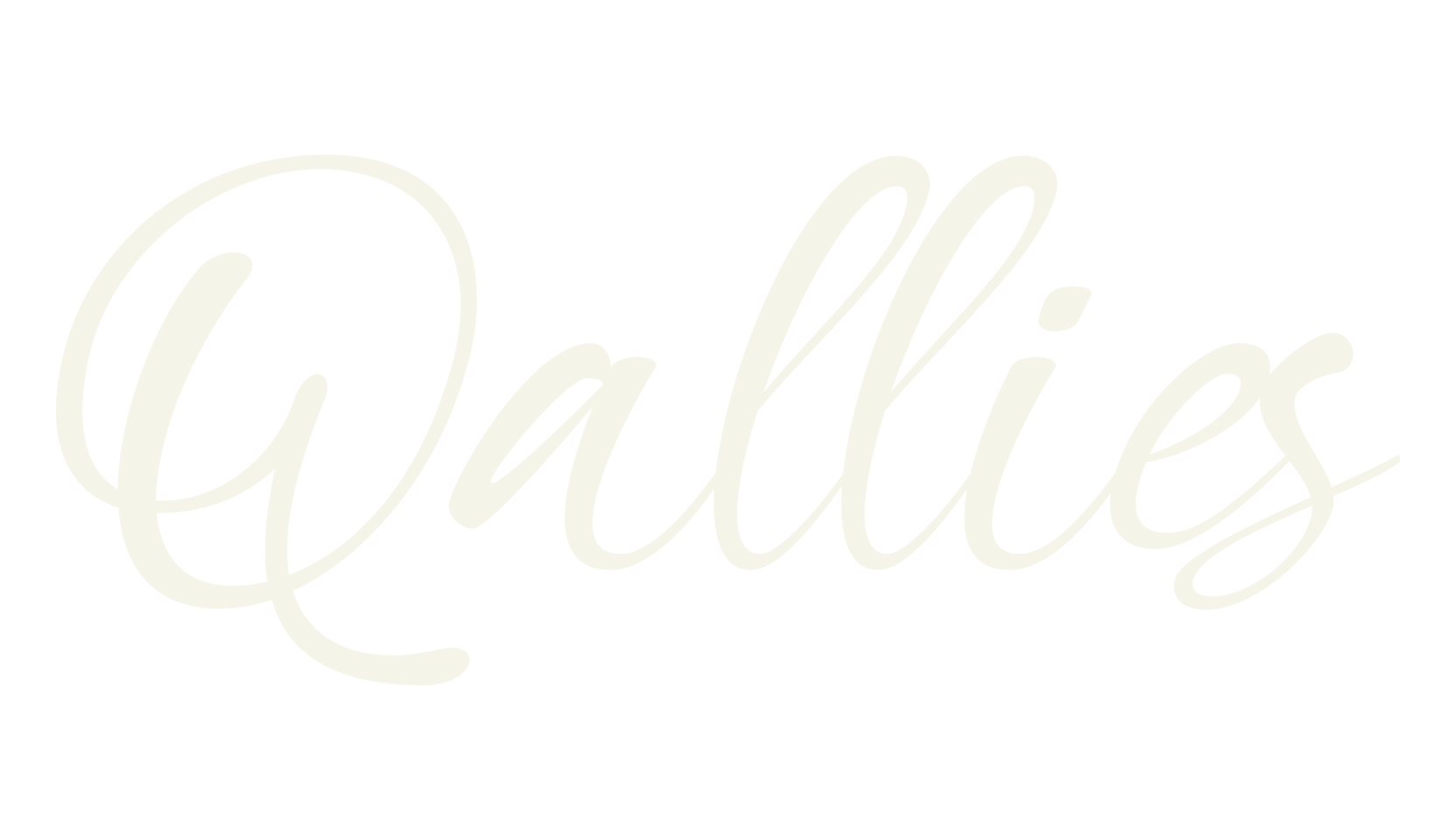 Qallies, beautiful font preview