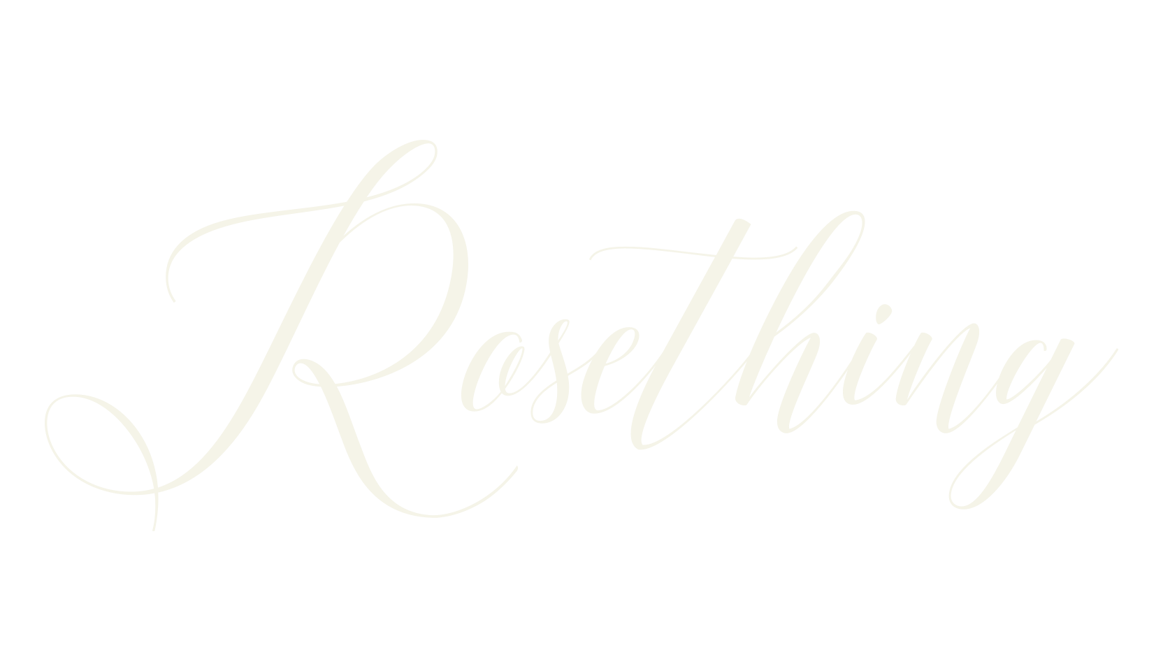 Rosething, modern calligraphy font preview
