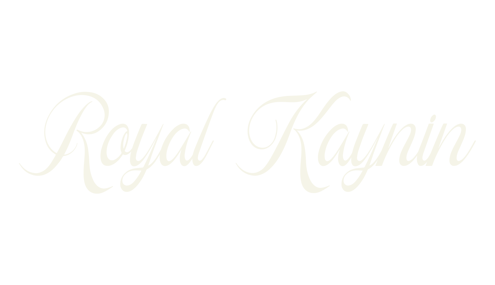Royal Kaynin, fancy font preview