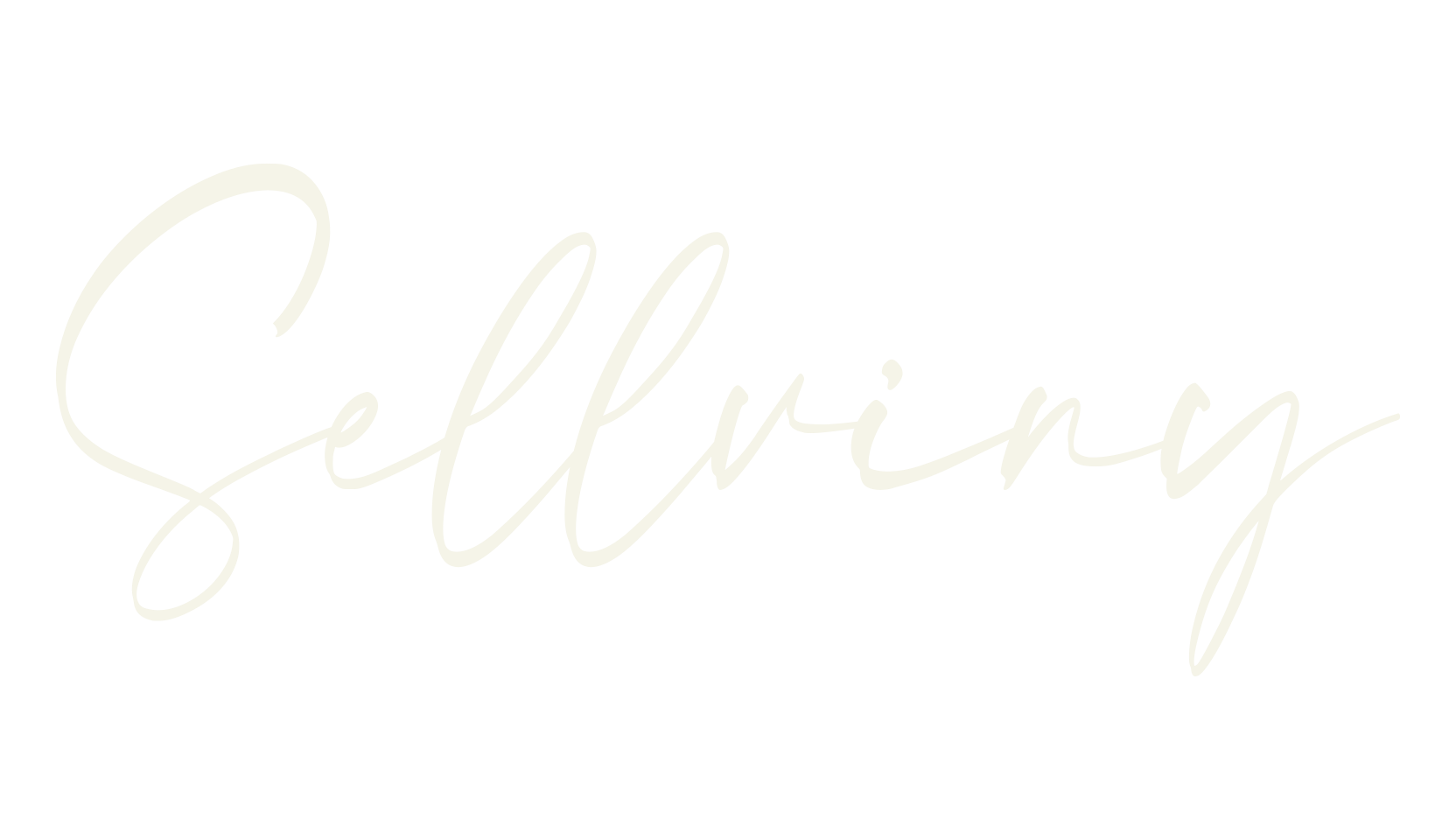 Sellviny, fashion script font preview