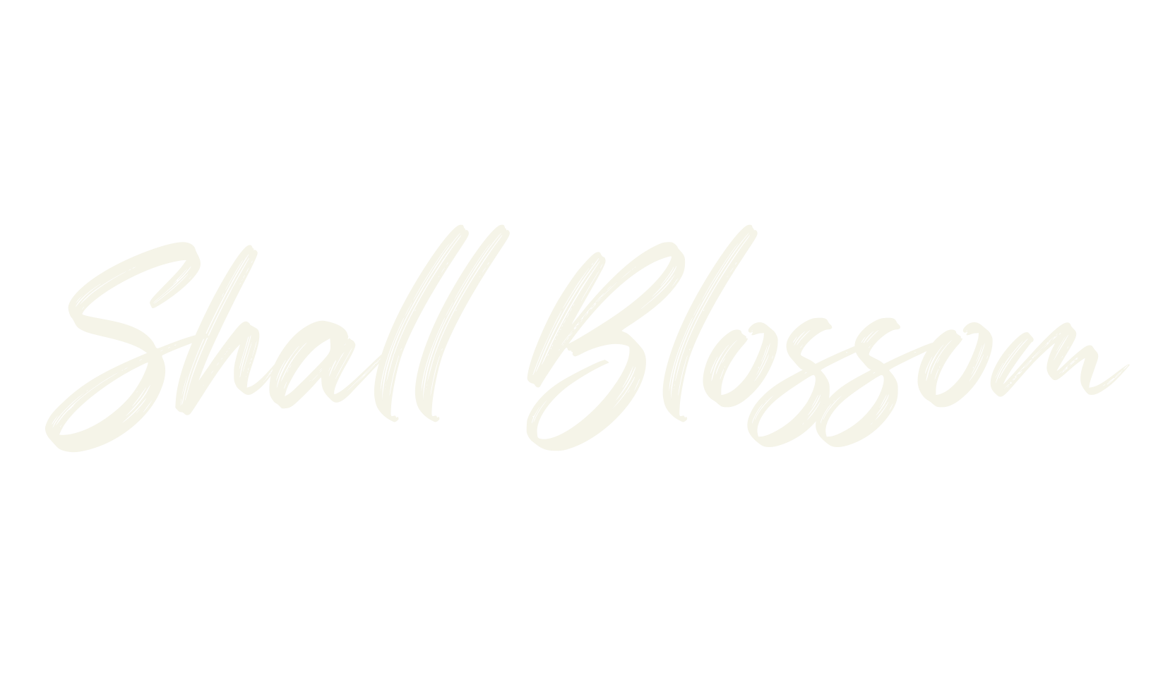 Shall Blossom, fashion script font preview