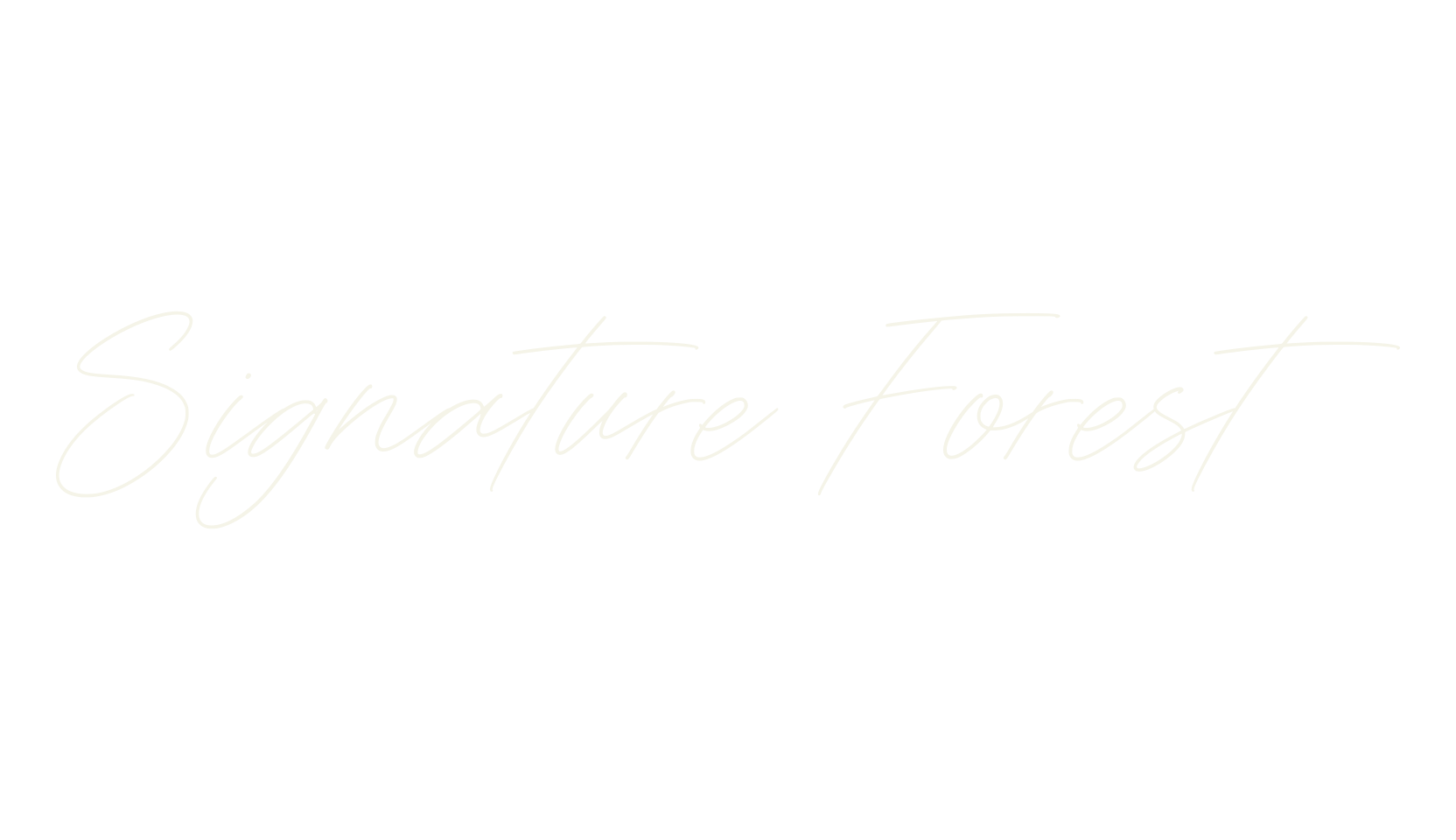 Signature Forest, signature font preview