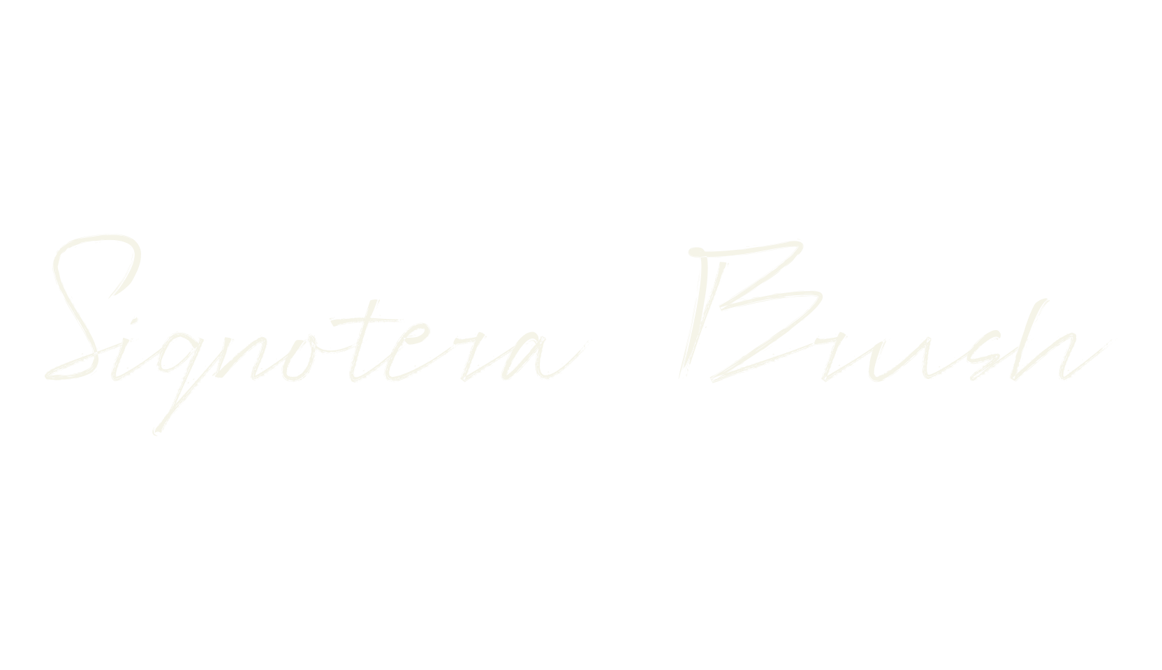 Signotera Brush, cursive font preview