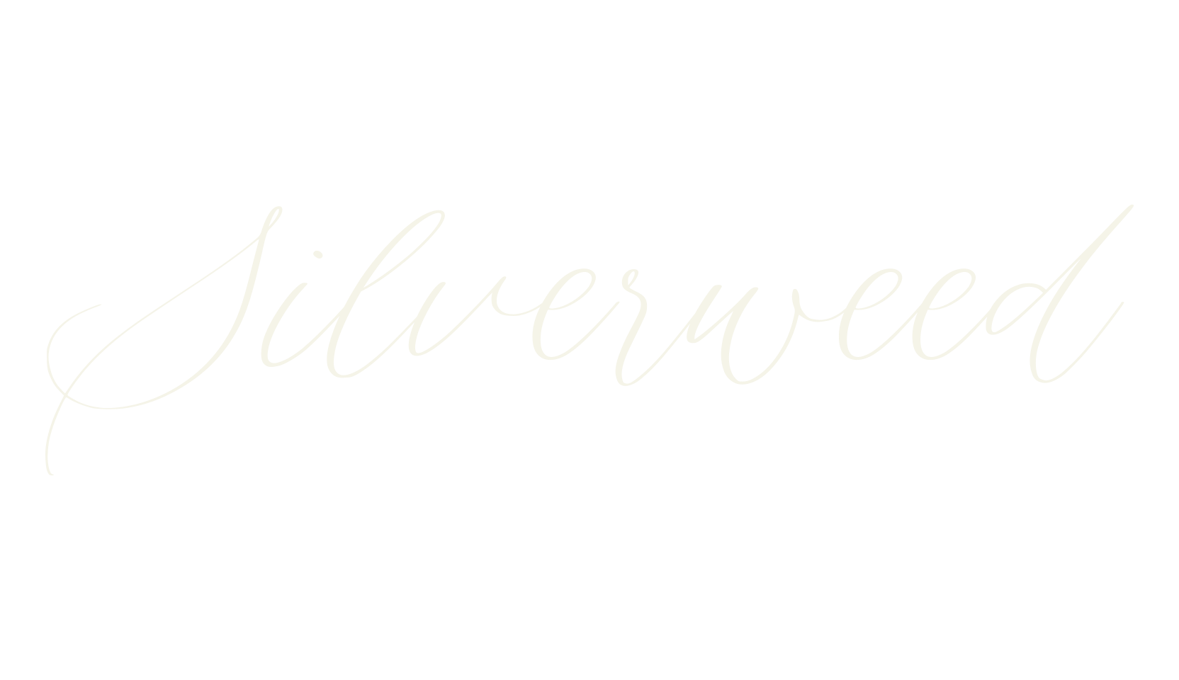 Silverweed, fashion sign font preview