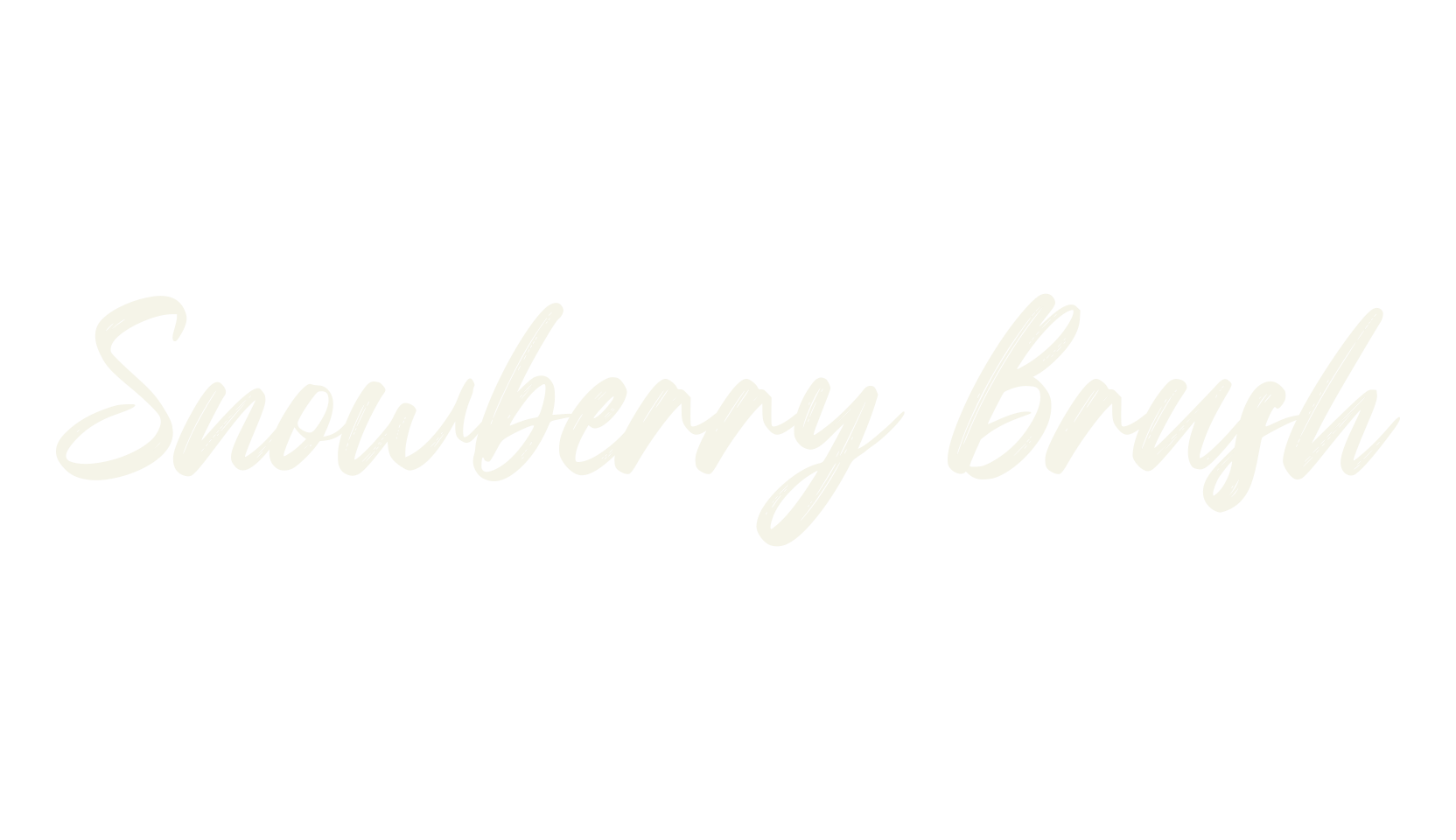 Snowberry Brush, brush font preview