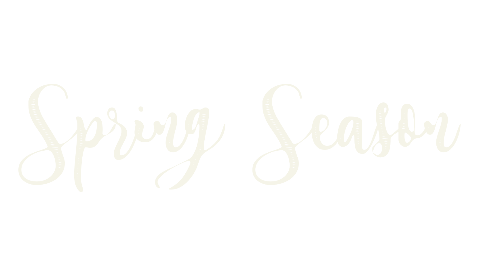 Spring Season, fashion script font preview