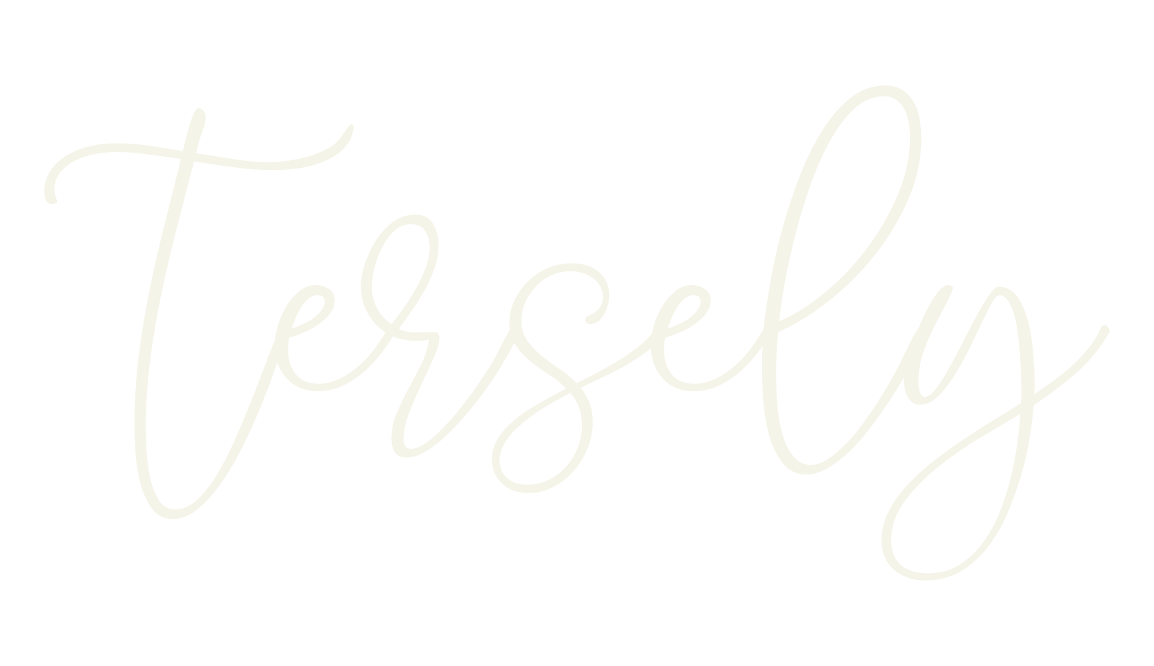 Tersely, fashion script font preview