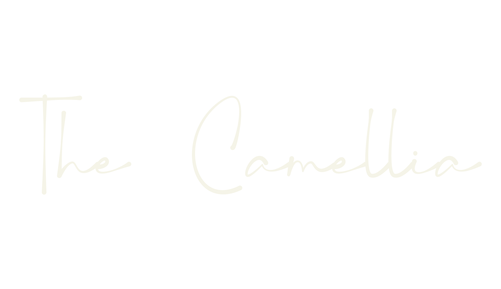 The Camellia, hand drawn font preview