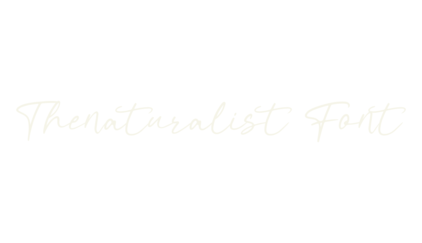 Thenaturalist Font, script font preview