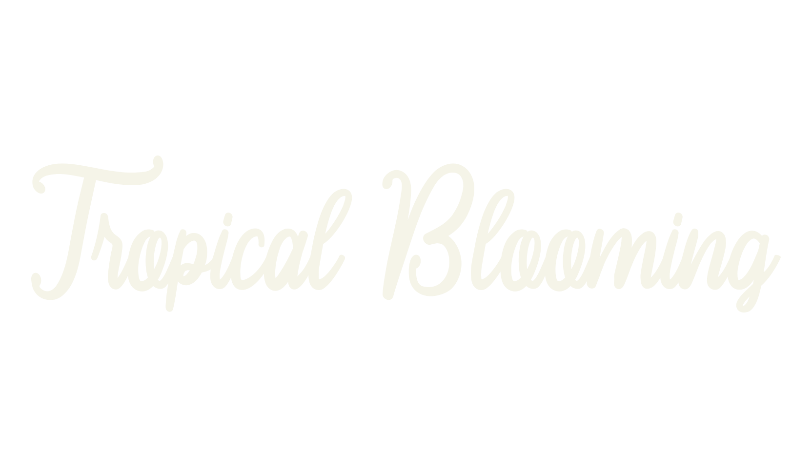 Tropical Blooming, modern font preview