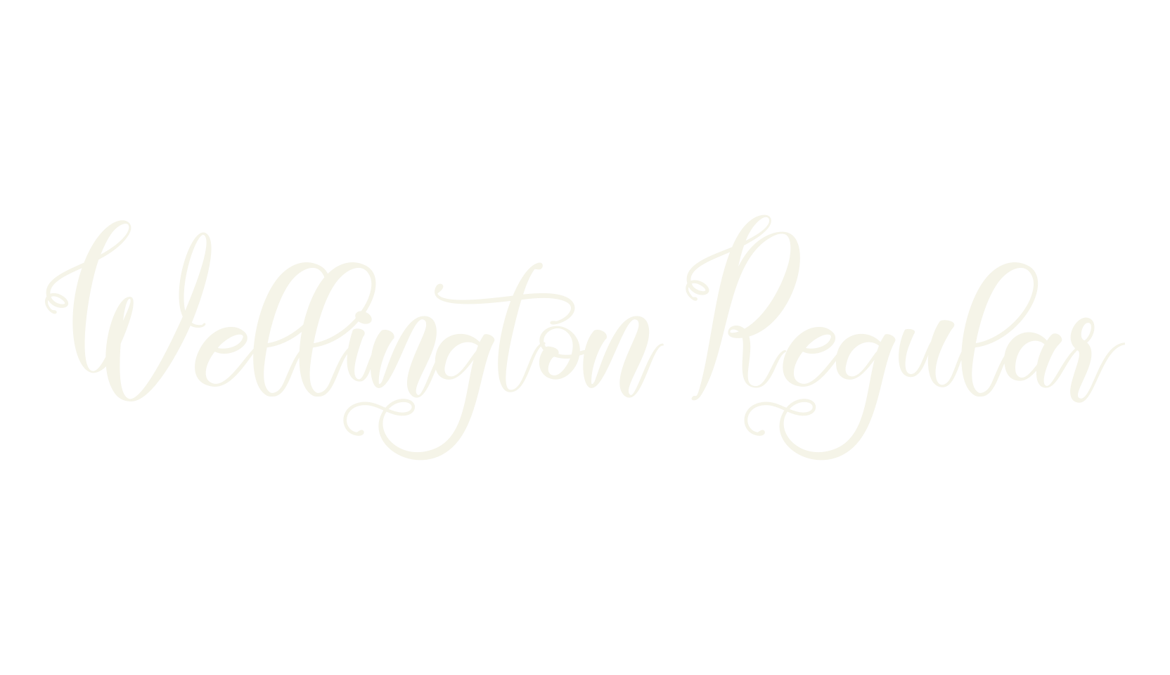 Wellington Regular, fashion script font preview