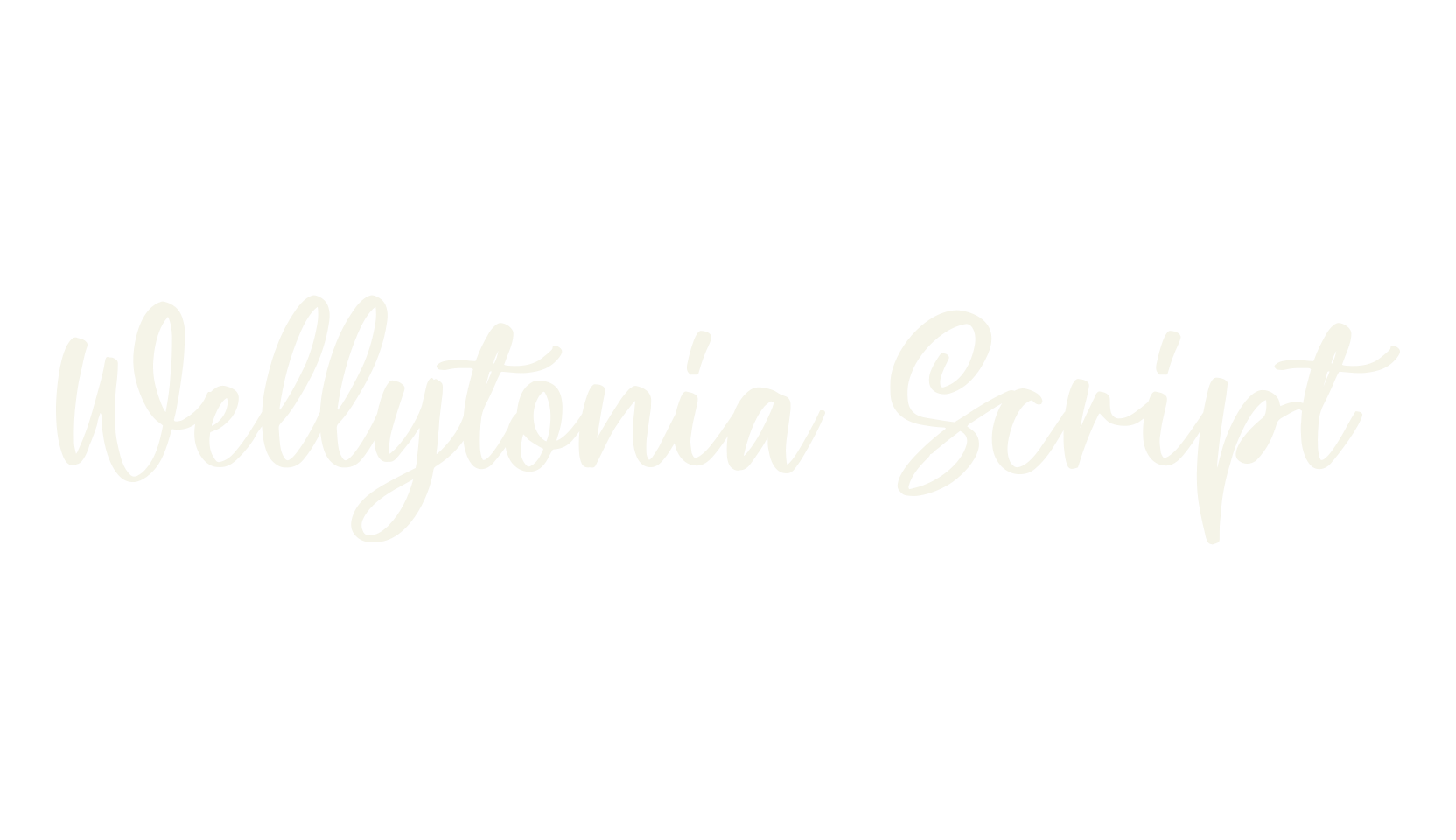 Wellytonia Script, fashion script font preview