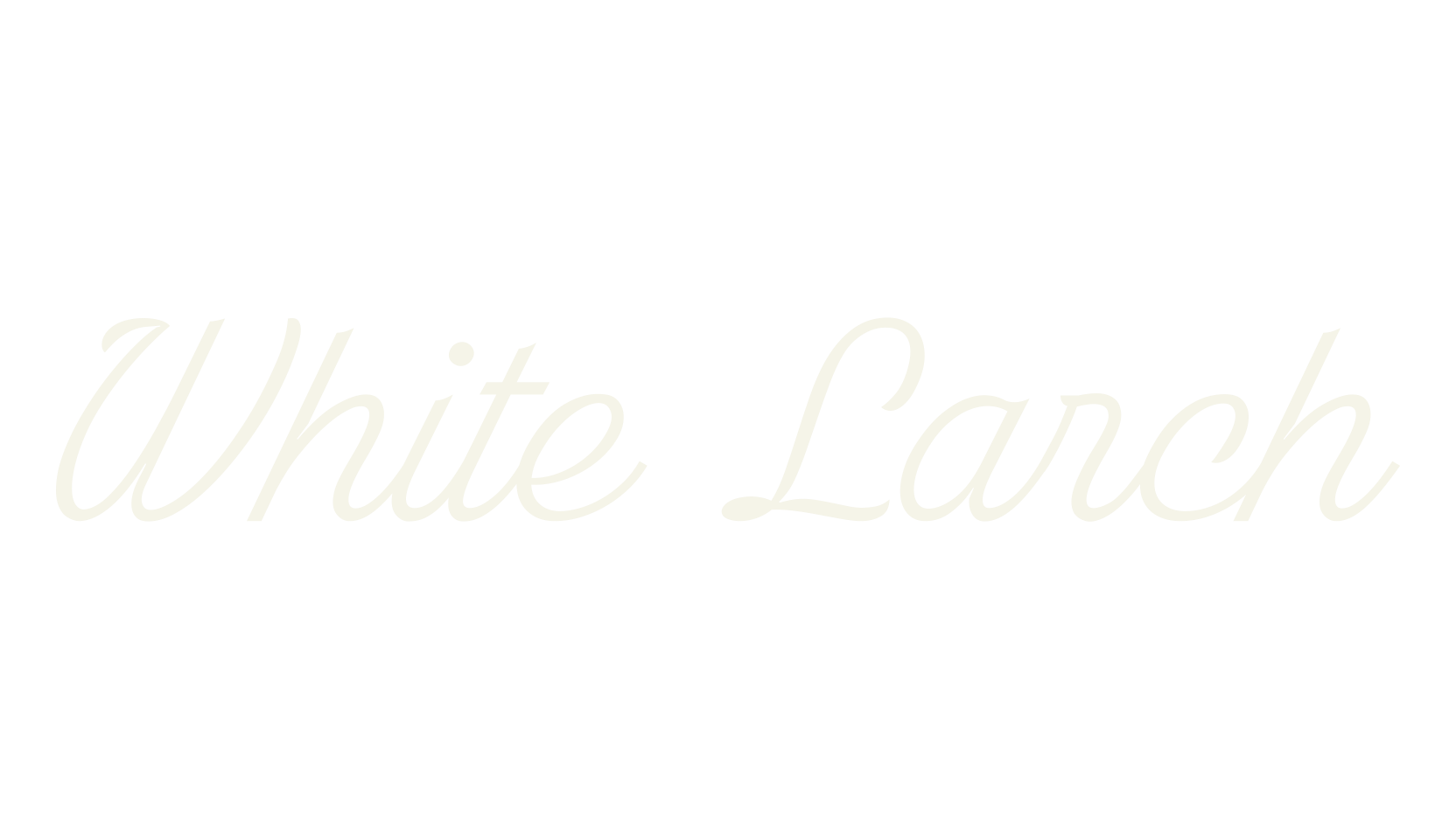 White Larch, fashion script font preview