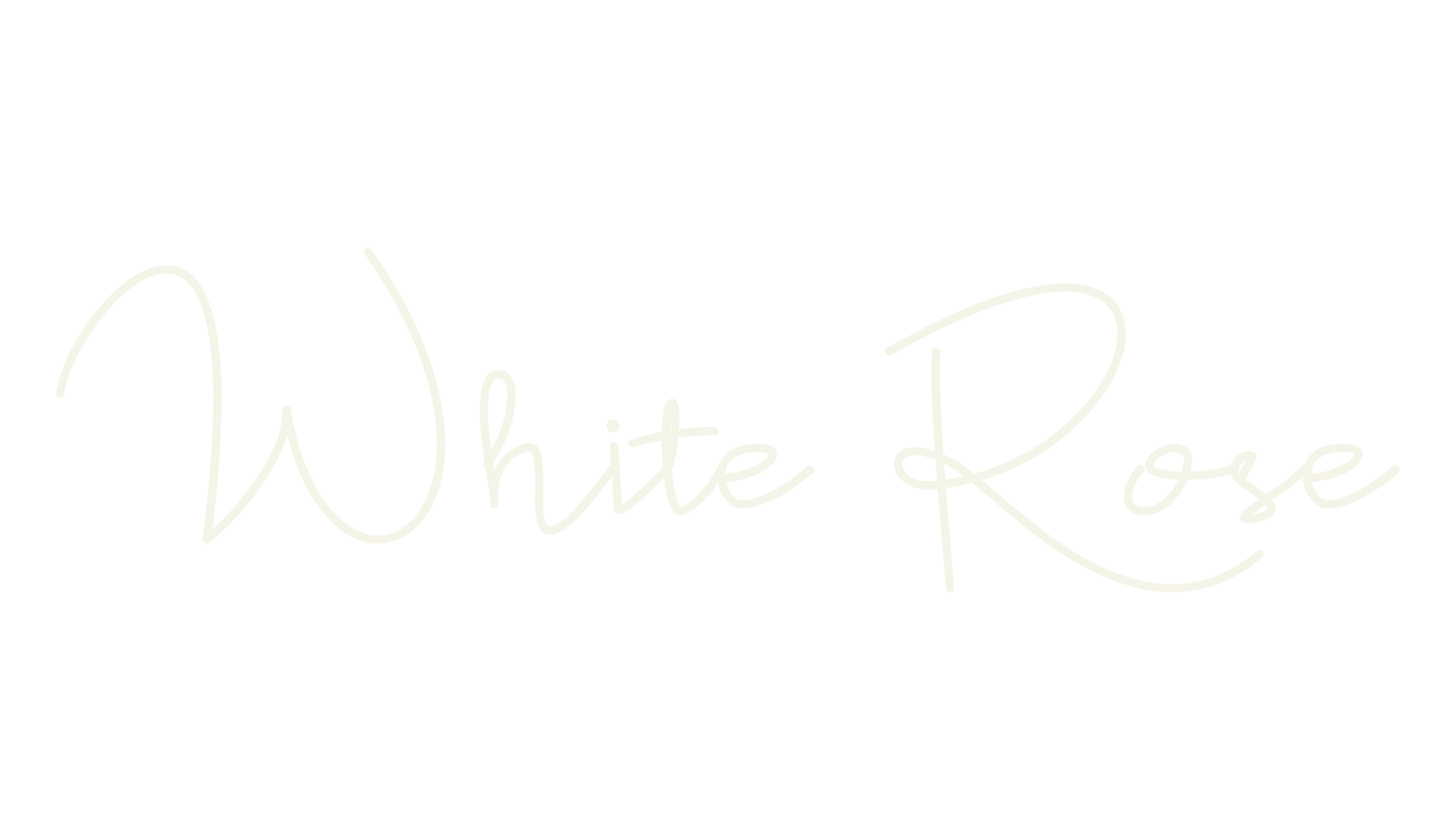 White Rose, cursive font preview