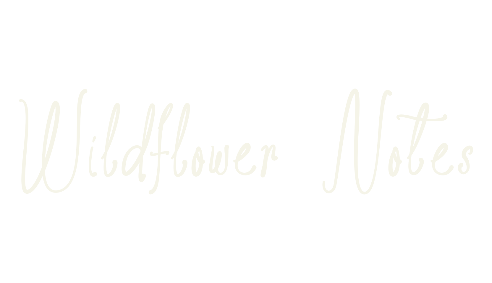 Wildflower Notes, whimsical font preview