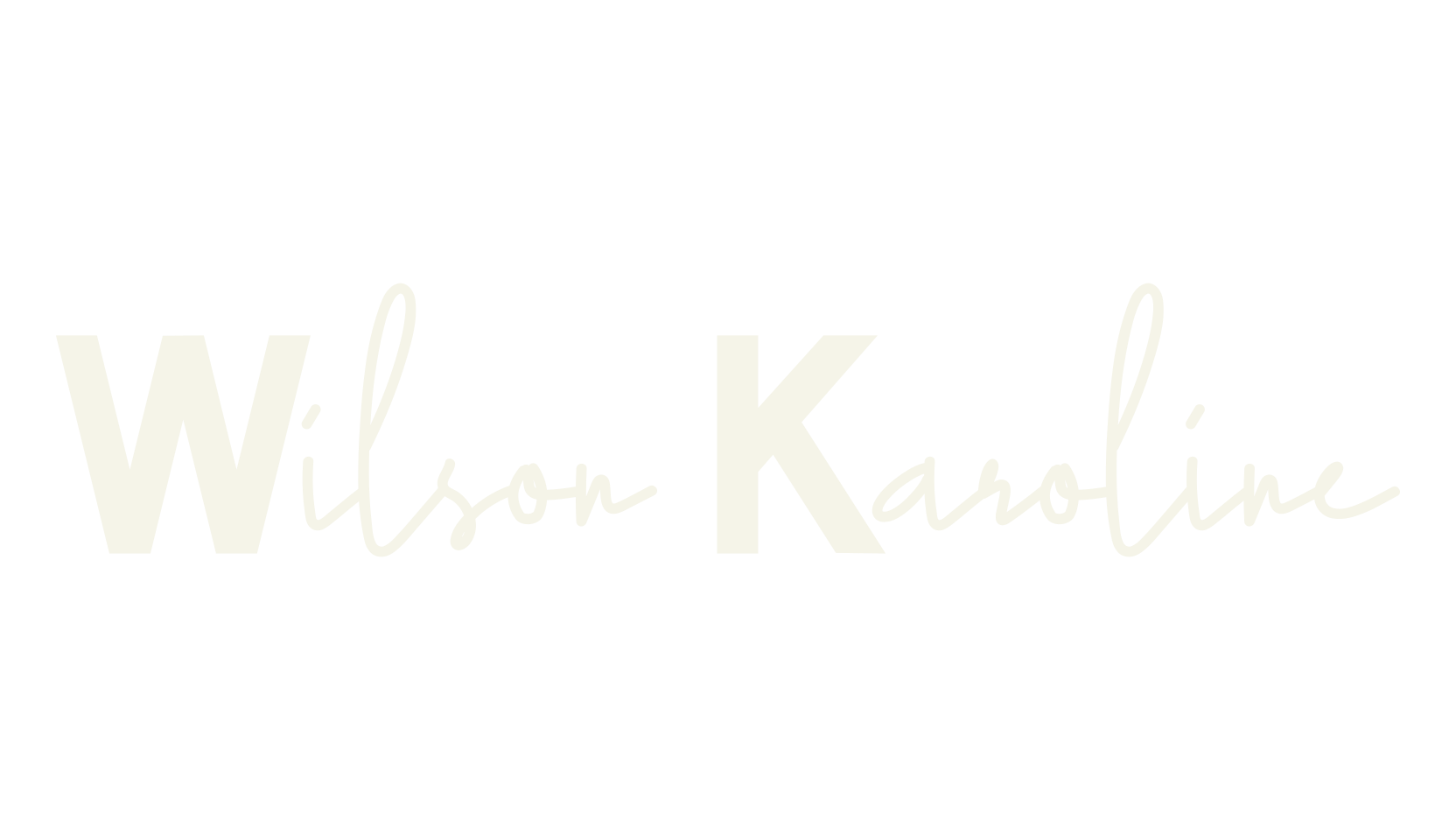 Wilson Karoline, cafe font preview