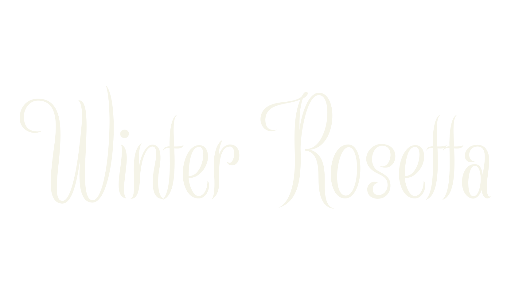 Winter Rosetta, fashion script font preview