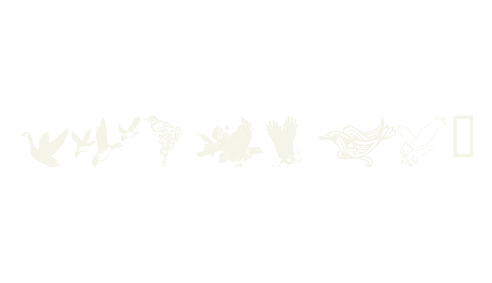 wmbirds1, dingbats font preview