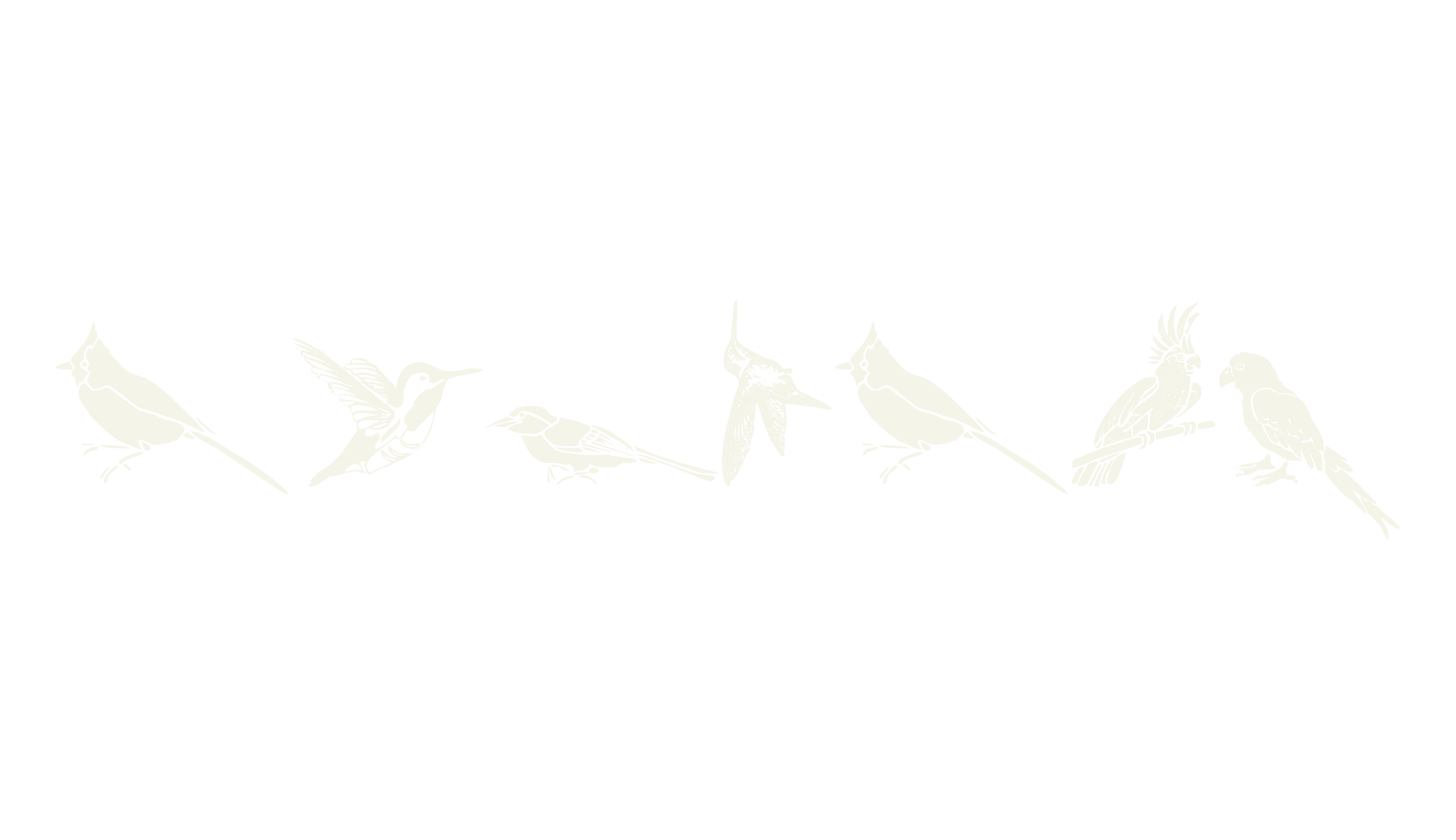 WWFeathers, dingbats font preview