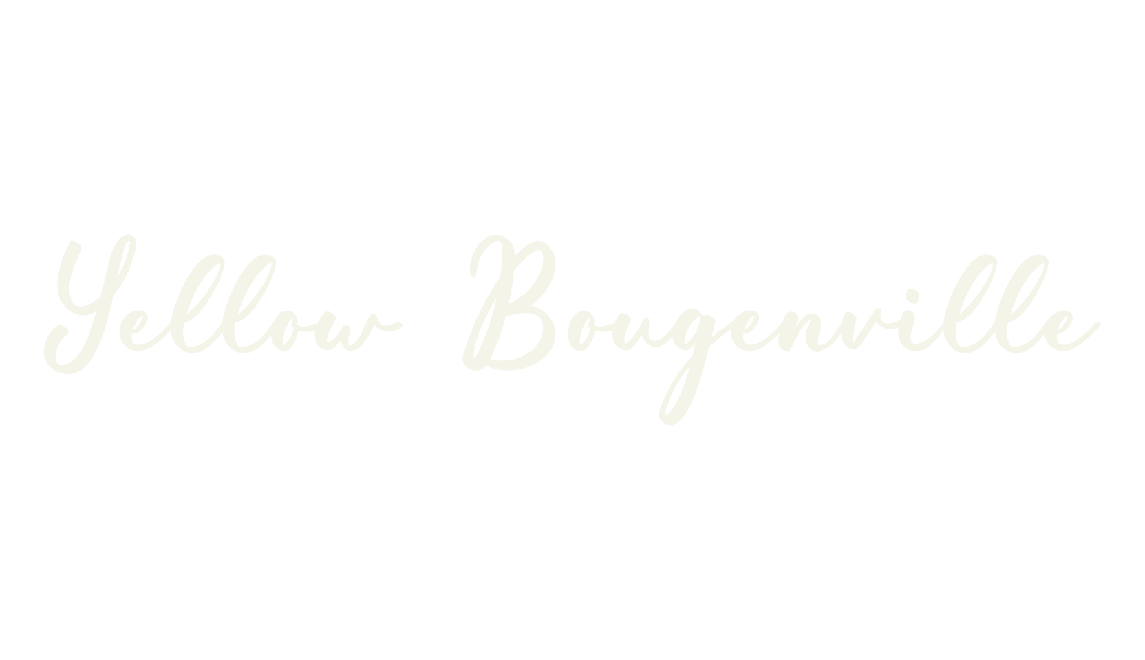 Yellow Bougenville, calligraphy font preview