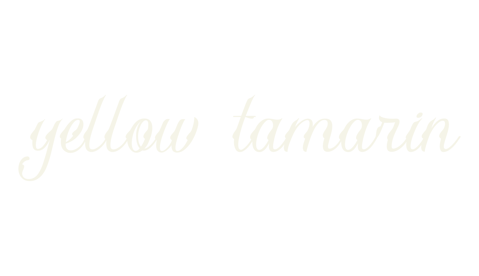 yellow tamarin, tattoo font preview