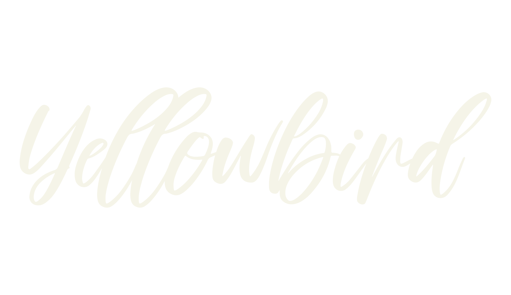 Yellowbird, script font preview